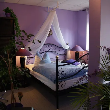 Hotel Hermanns Zum Goldenen Stern